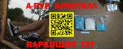 прущие крисы Камышлов