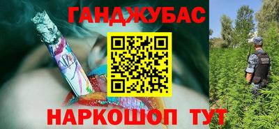 прущие крисы Камышлов