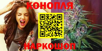 сатива Кинель