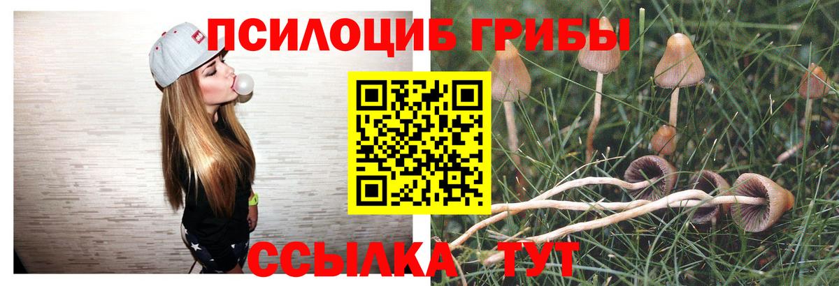Галлюциногенные грибы Magic Shrooms Шатура