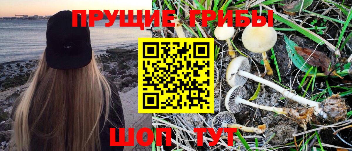 Псилоцибиновые грибы MAGIC MUSHROOMS  Псилоцибиновые грибы GOLDEN TEACHER  Вход с VPN  Шатура 